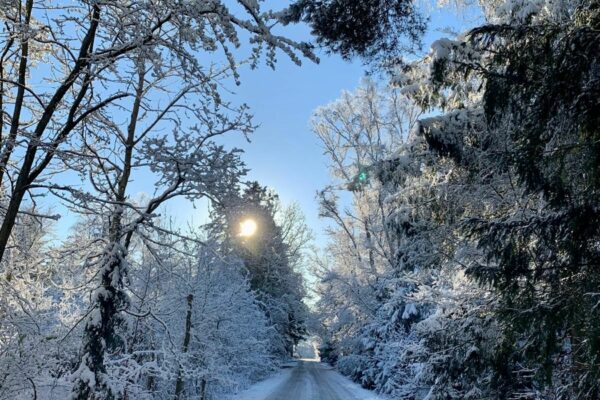 Asser Rigs Vej 2, Tibirke Sand, Frederiksværk