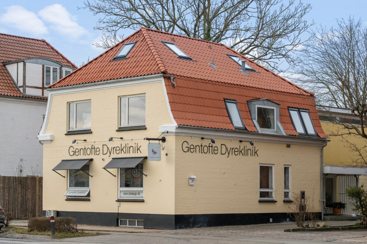 Bernstorffsvej 131, 1, Hellerup