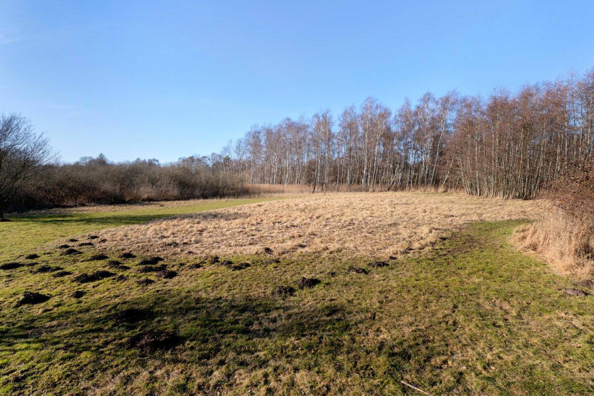 Enghavevej 9F, Eskebjerg