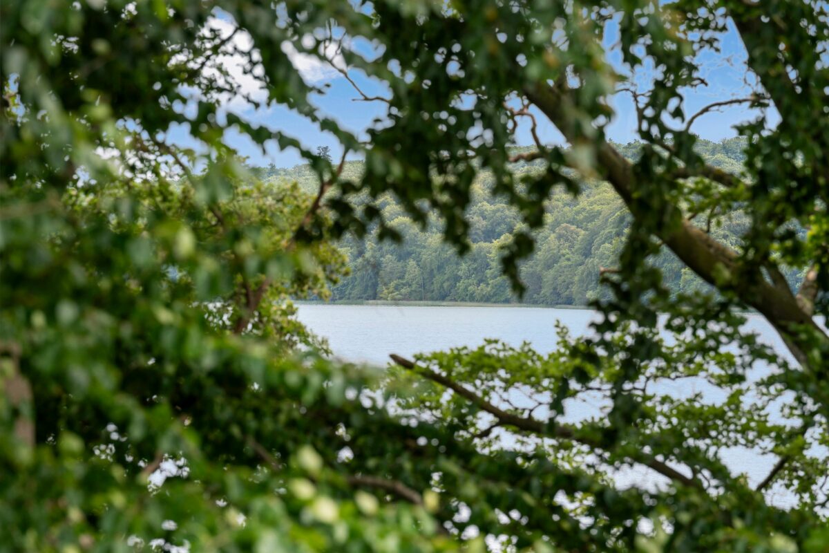 Skovbakken 62, Farum
